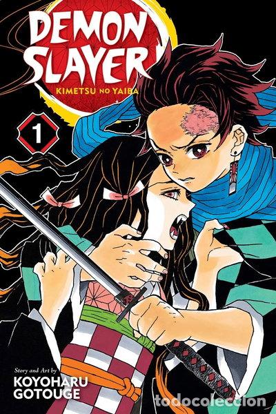 Libros: Demon Slayer: Kimetsu no Yaiba, Vol. 1- 9781974700523