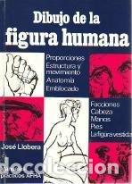 Livres: Dibujo de la figura humana. - Llobera, Jos&eacute;. TDK748