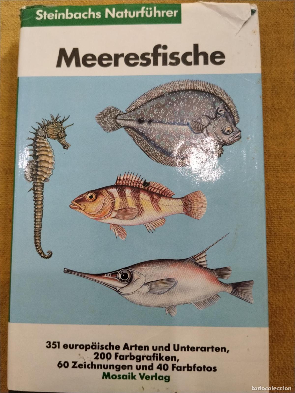 books: Meeresfische in europ&auml;ischen Gew&auml;ssern - Fritz Terofal; Fritz Wendler