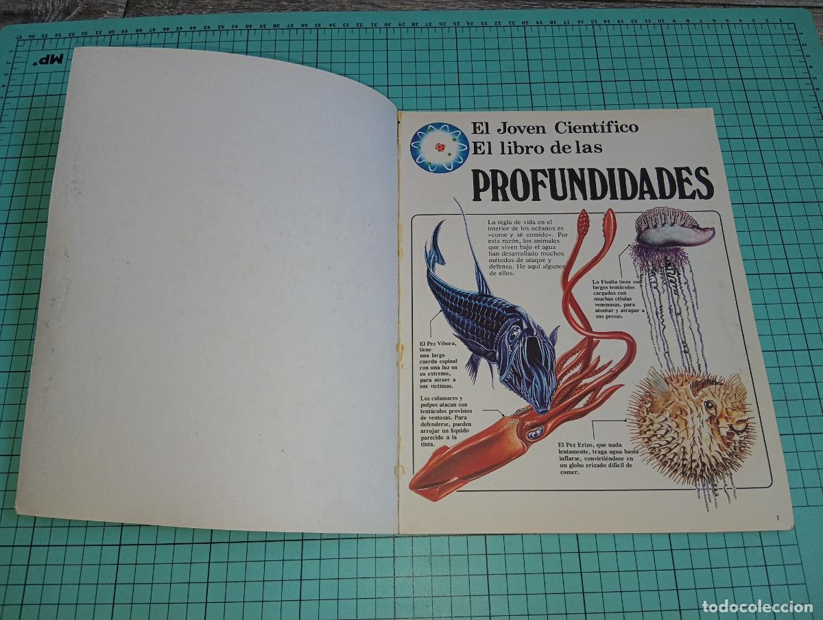 Libros: El libro de las profundidades, El joven cientifico ed. Plesa SM - Foto 4
