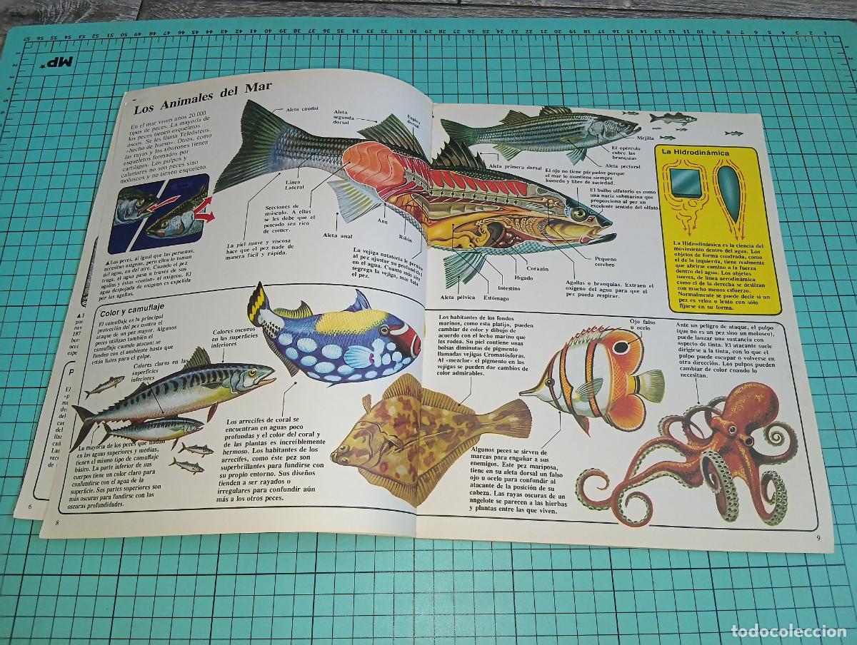 Libros: El libro de las profundidades, El joven cientifico ed. Plesa SM - Foto 6
