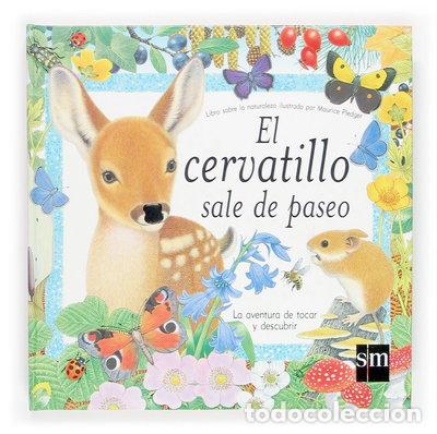 Libri di seconda mano: El cervatillo sale de paseo- 9788467500349