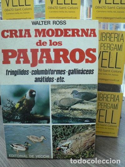 Livres: Cr&iacute;a moderna de los p&aacute;jaros- 9788431542108