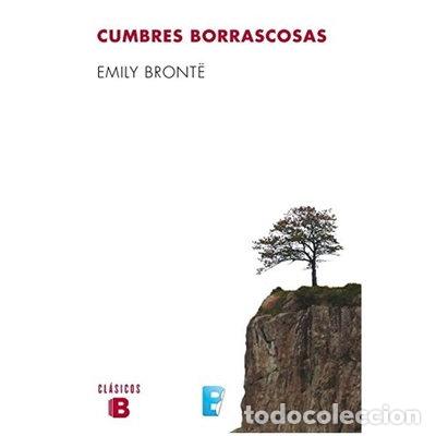 B&uuml;cher: Cumbres borrascosas- 9788497935173