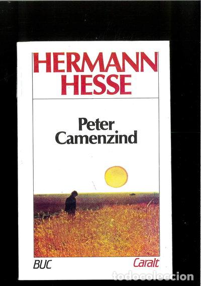 B&uuml;cher: Peter Camenzind- 9788421741542