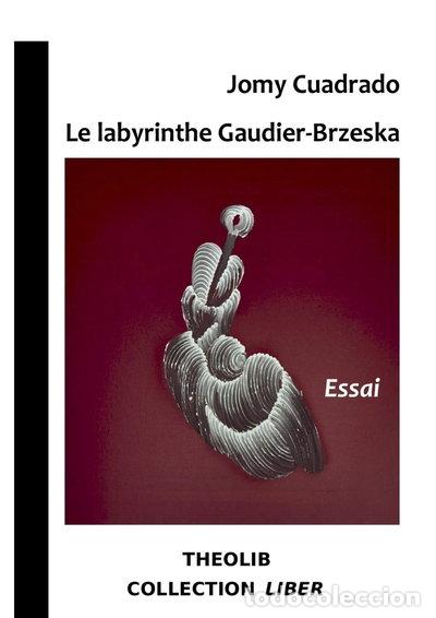 B&uuml;cher: Le labyrinthe Henri Gaudier-Brzeska- 9782365001878