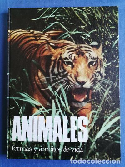 Libri di seconda mano: Animales, formas y &aacute;mbitos de vida- 9788422605270