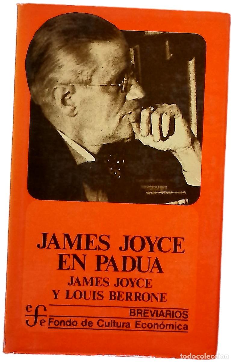 B&uuml;cher: James Joyce En Padua - James & Louis Berrone Joyce