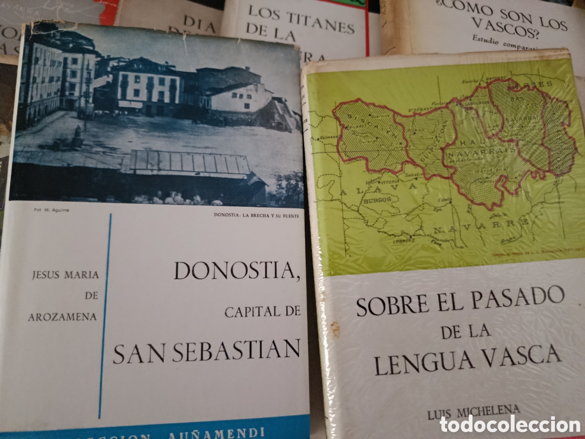 Libros: Colecci&oacute;n Au&ntilde;amendi 22 tomos - Foto 6