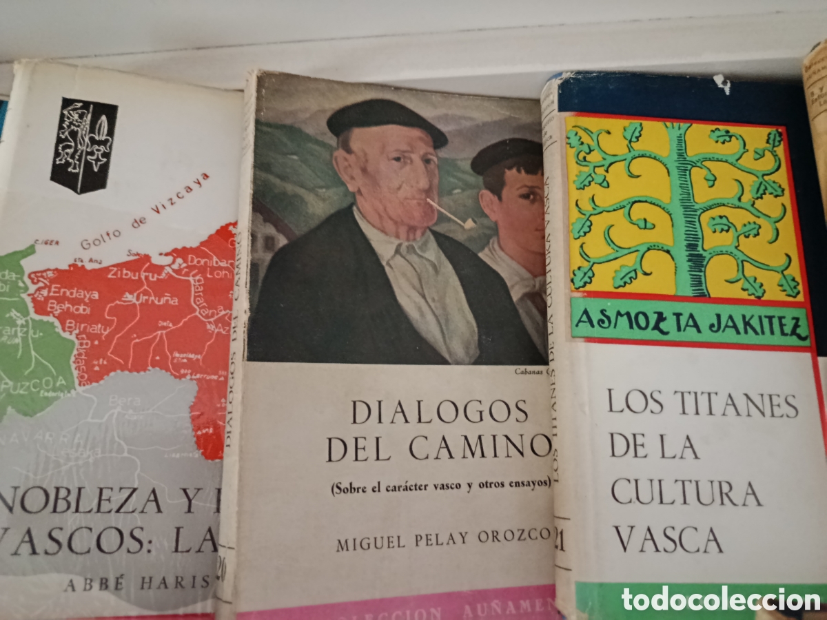 Libros: Colecci&oacute;n Au&ntilde;amendi 22 tomos - Foto 7