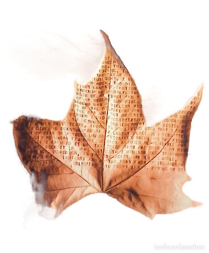 Libros: Naturaleza muerta - Penny, Louise