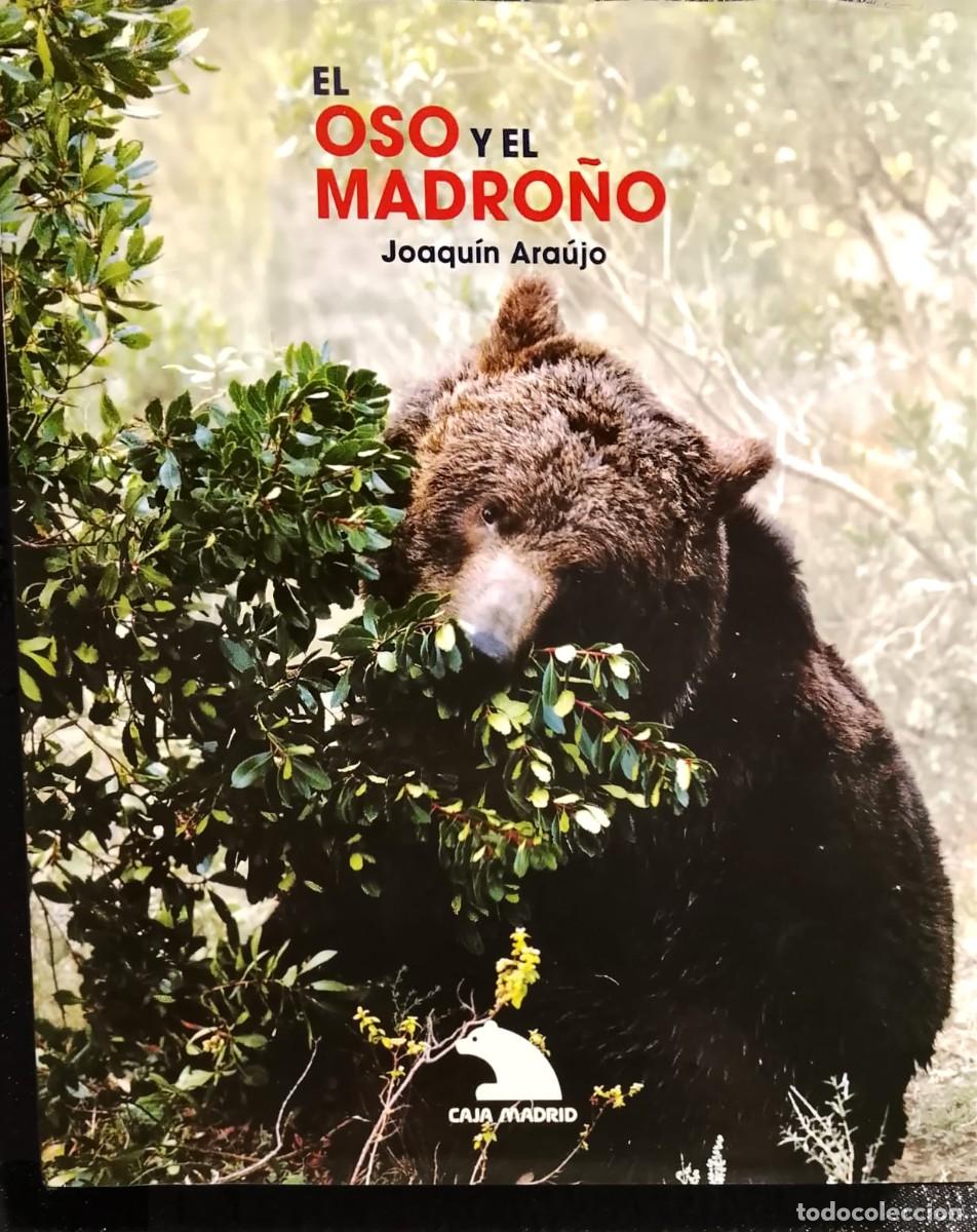 Libros: EL OSO Y EL MADRO&Ntilde;O - JOAQU&Iacute;N ARA&Uacute;JO - CAJA MADRID 1998 / ILUSTRADISIMO