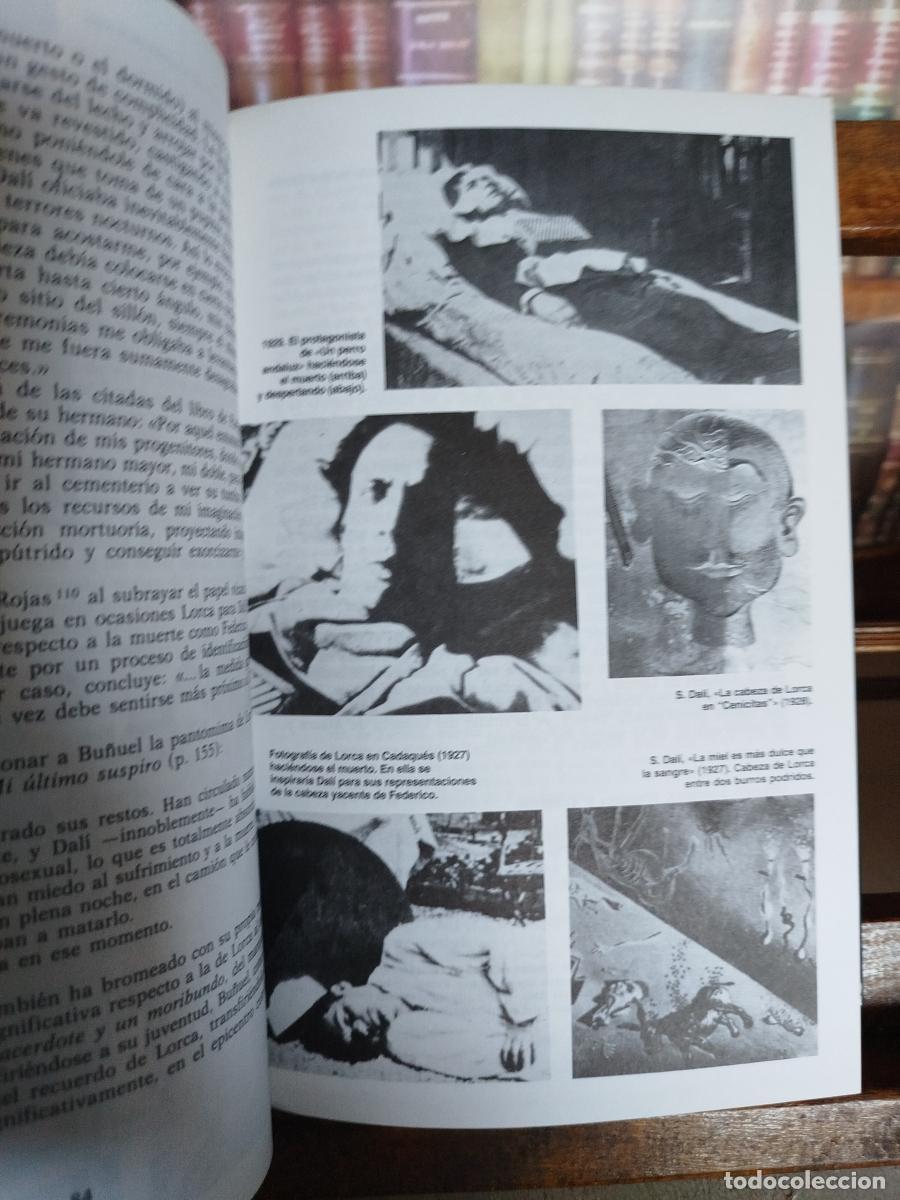 Libros: Bu&ntilde;uel, Lorca, Dal&iacute;: el enigma sin fin - S&aacute;nchez Vidal, Agust&iacute;n. - Foto 9