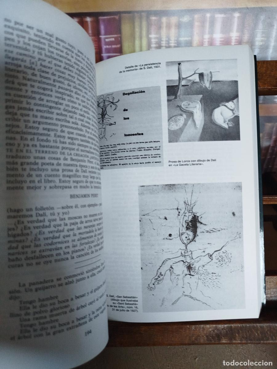 Libros: Bu&ntilde;uel, Lorca, Dal&iacute;: el enigma sin fin - S&aacute;nchez Vidal, Agust&iacute;n. - Foto 11