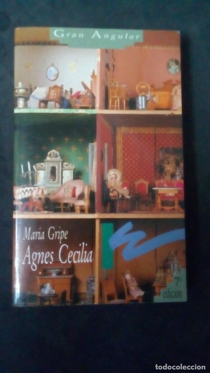 Libros: AGNES CECILIA - MAR&Iacute;A GRIPE - GRAN ANGULAR - EDICIONES SM 1994.