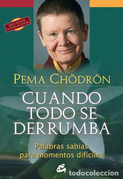 B&uuml;cher: Cuando todo se derrumba- 9788484454298