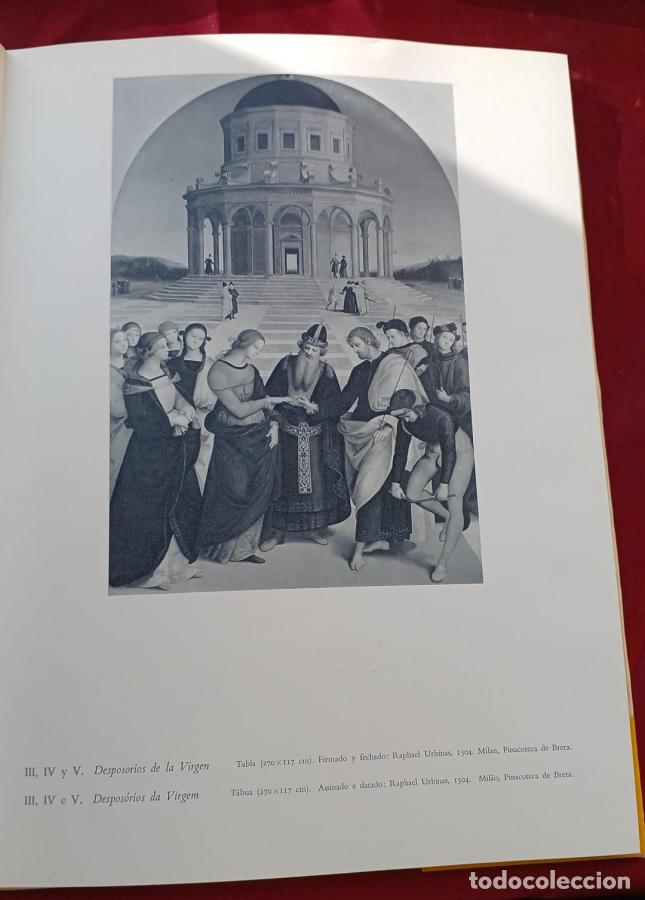 Libros: Rafael - Micheletti, Emma - Foto 2