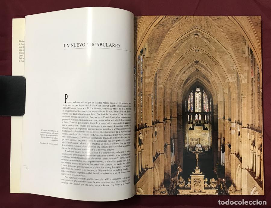 Libros: La catedral de Le&oacute;n: Cristal y Fe - G&oacute;mez Rasc&oacute;n, M&aacute;ximo - Foto 4