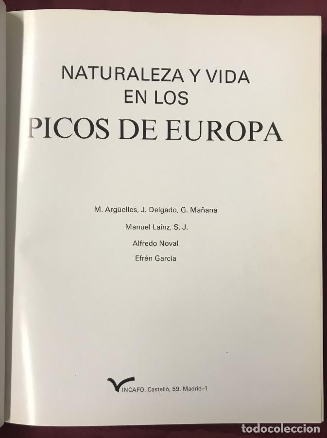 Libros: Naturaleza y vida en los Picos de Europa - vv.aa. - Foto 2