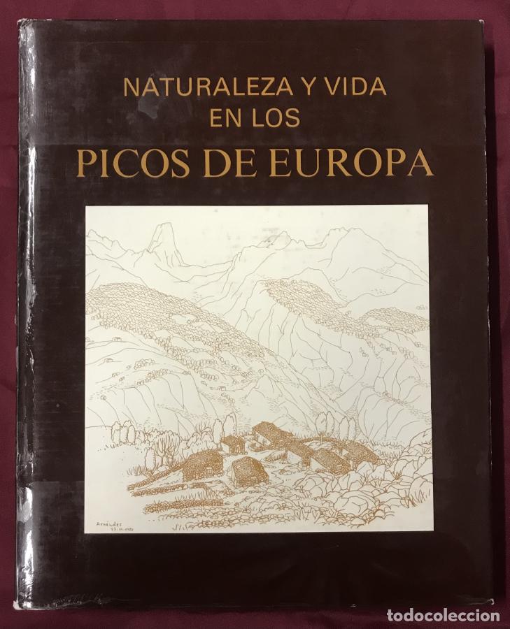 Libros: Naturaleza y vida en los Picos de Europa - vv.aa.