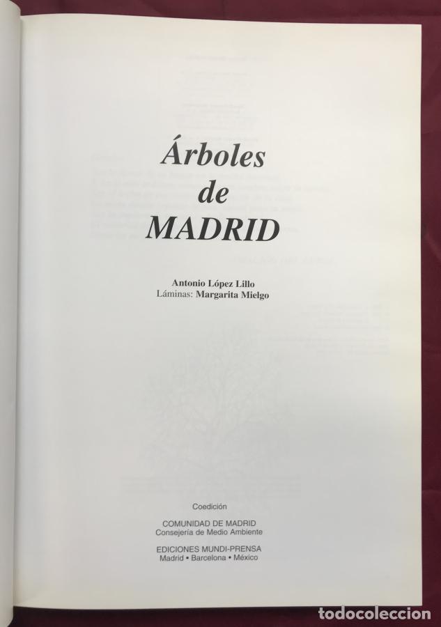 Libros: &Aacute;rboles de Madrid - L&oacute;pez Lillo, Antonio - Foto 2
