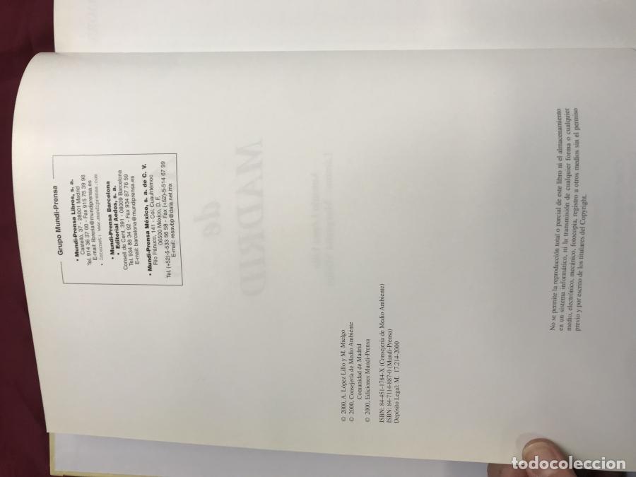 Libros: &Aacute;rboles de Madrid - L&oacute;pez Lillo, Antonio - Foto 3