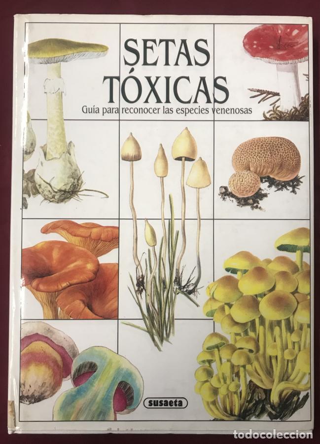 Libros: Setas T&oacute;xicas - Jir&iacute; Baier