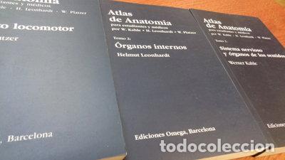 books: Atlas de Anatom&iacute;a I - Aparato Locomotor- 9788428208260