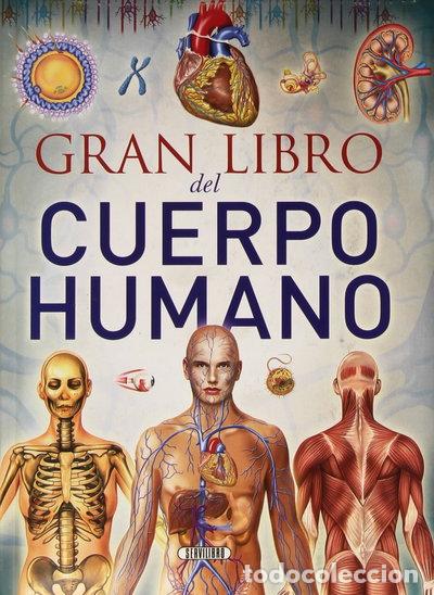 Libros: Gran libro del cuerpo humano- 9788490050606