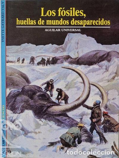 Libri di seconda mano: Los f&oacute;siles, huellas de mundos desaparecidos- 9788403600621