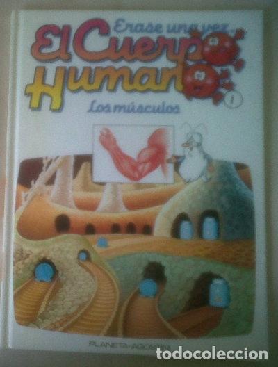 Libri di seconda mano: &Eacute;rase una vez... El cuerpo humano. Los m&uacute;sculos- 9788439516927