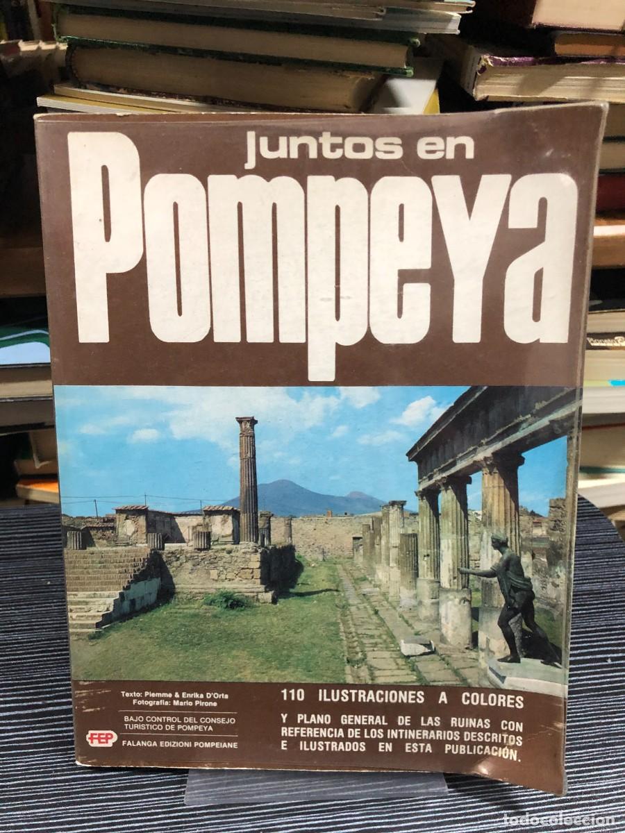 Libros: Juntos en Pompeya Piemme & Enrika D'Orta