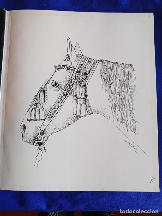 Libros: Caballos en Espa&ntilde;a - Gabriel y Gal&aacute;n, Jos&eacute; Antonio - Foto 2