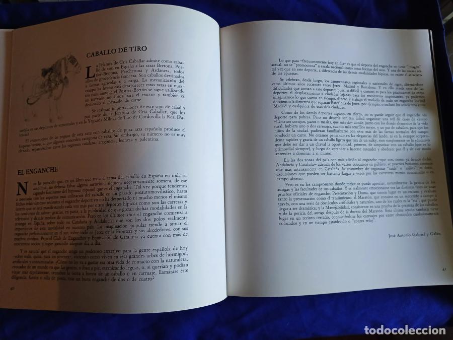 Libros: Caballos en Espa&ntilde;a - Gabriel y Gal&aacute;n, Jos&eacute; Antonio - Foto 3