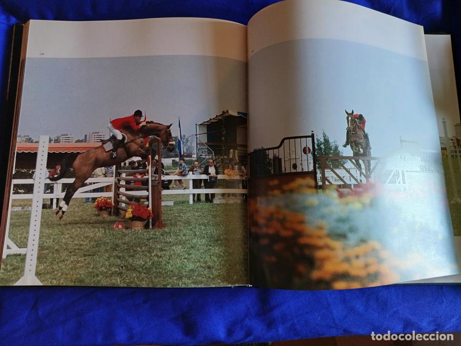 Libros: Caballos en Espa&ntilde;a - Gabriel y Gal&aacute;n, Jos&eacute; Antonio - Foto 4