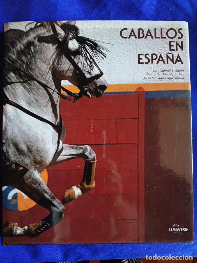 Libros: Caballos en Espa&ntilde;a - Gabriel y Gal&aacute;n, Jos&eacute; Antonio
