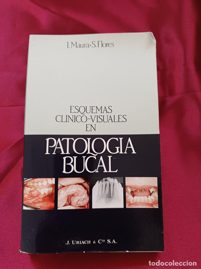 B&uuml;cher: ESQUEMAS CLINICO-VISUALES EN PATOLOGIA BUCAL - MAURA, I./ FLORES, S.
