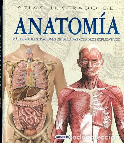 books: Atlas Ilustrado de Anatom&iacute;a- 9788430534784