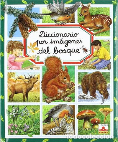 Libros: Diccionario por im&aacute;genes del bosque- 9782215065241