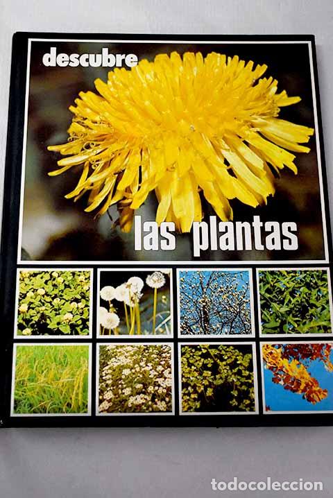 Livros em segunda m&atilde;o: Descubre las plantas