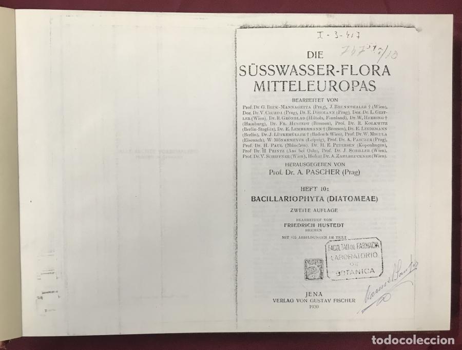 Libros: Die s&uuml;sswasser-flora mitteleuropas - Heft 10: Badillariophyta (diatomeae) - Pascher, A.