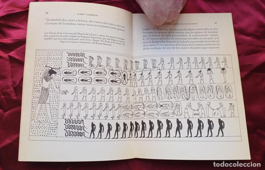 Libros: El Libro Egipcio de los Muertos - Champdor, Albert - Foto 3