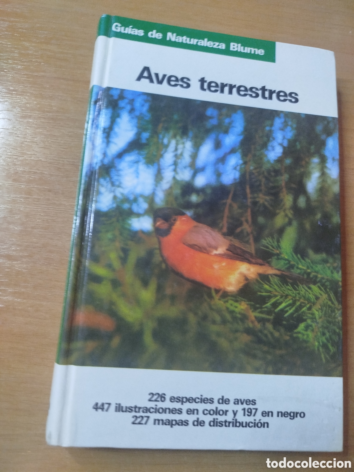 Livres: Aves terrestres. Gu&iacute;as de naturaleza blume. Ilustraciones a color. Mapas de distribuci&oacute;n