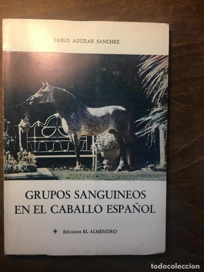 Libros: Grupos sangu&iacute;neos en el caballo espa&ntilde;ol - Aguilar S&aacute;nchez, Pablo