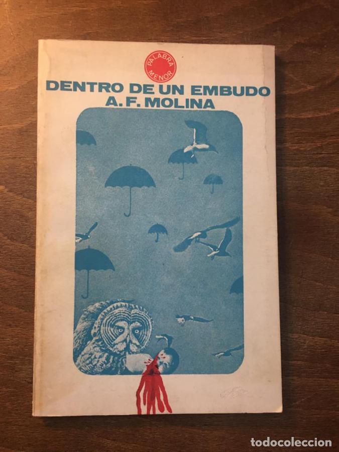 Libros: Dentro de un embudo - Molina, A. F.