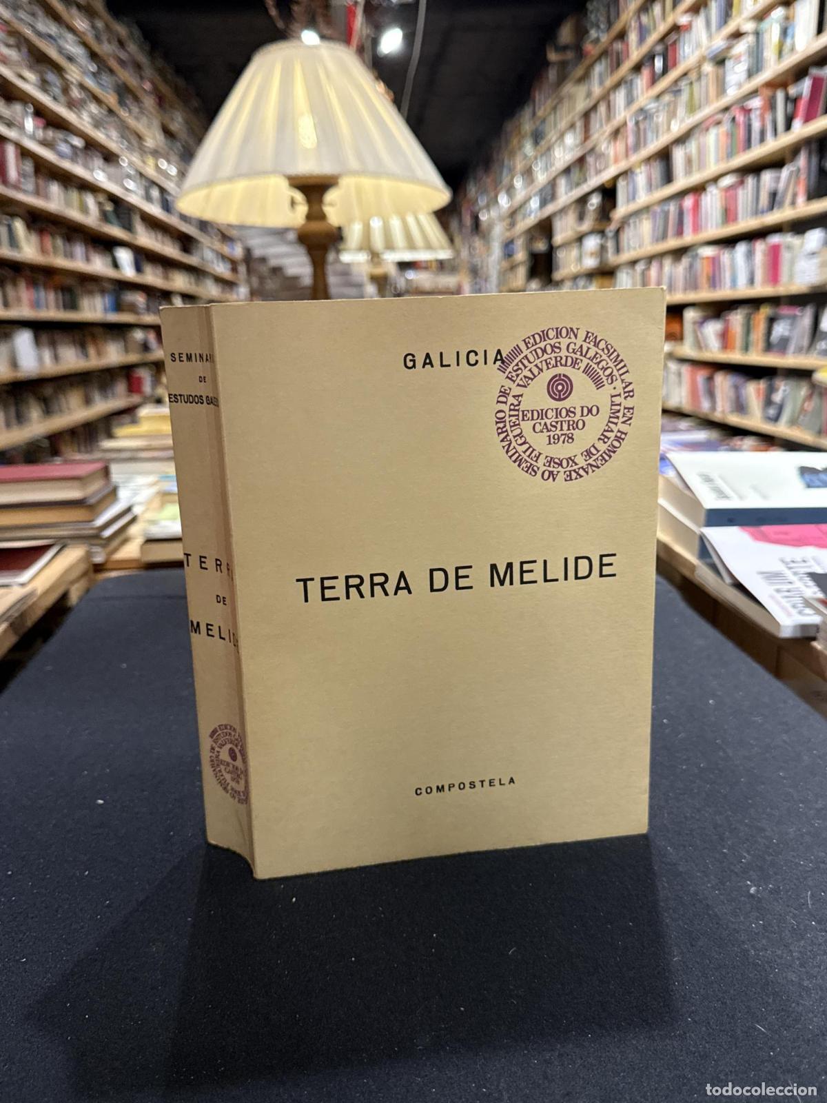 TERRA DE MELIDE - VVAA