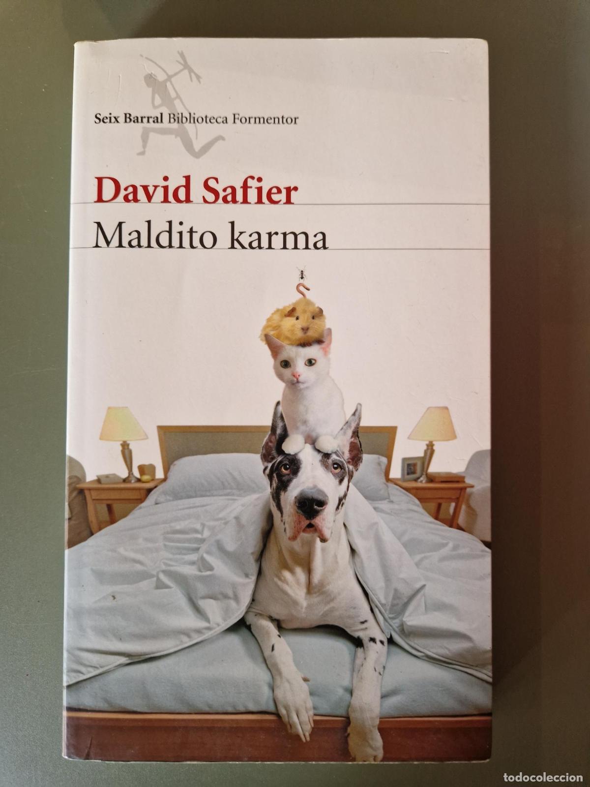 books: Maldito karma - David Safier
