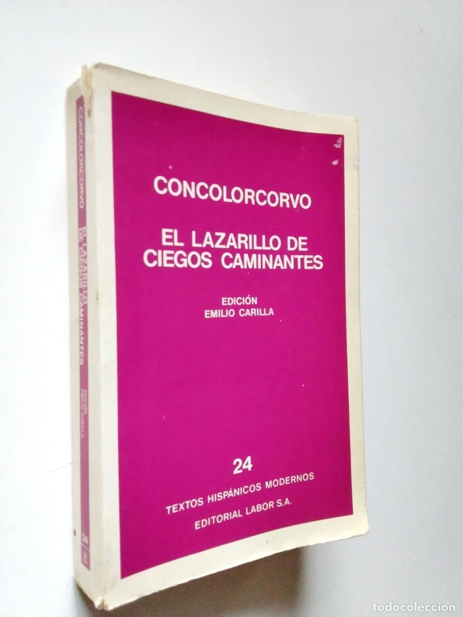 Libri di seconda mano: Alonso Carrio de la Vandera, Concolorcorvo (Edici&oacute;n de Emilio Carilla) - El lazarillo de ciegos cami