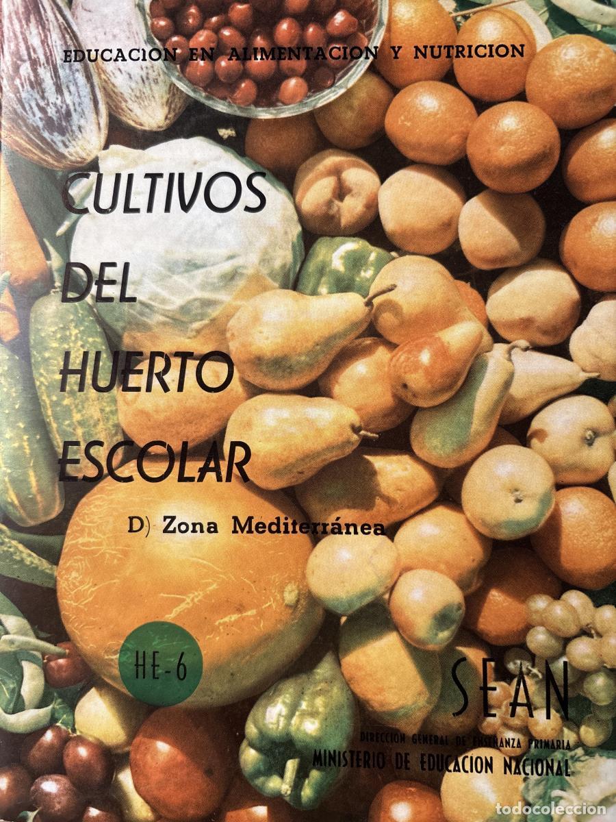 B&uuml;cher: FOLLETO EDUCATIVO: CULTIVOS DE HUERTO ESCOLAR. D. ZONA MEDITERRANEA - JUAN CORNEJO TDK413