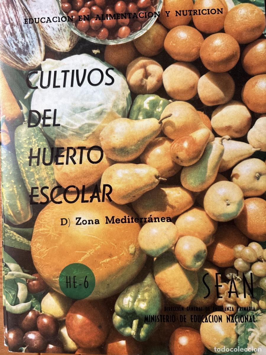 Livros em segunda m&atilde;o: FOLLETO EDUCATIVO CULTIVOS DE HUERTO ESCOLAR - JUAN CORNEJO TDK413